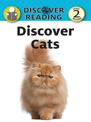 cover image of Discover Cats